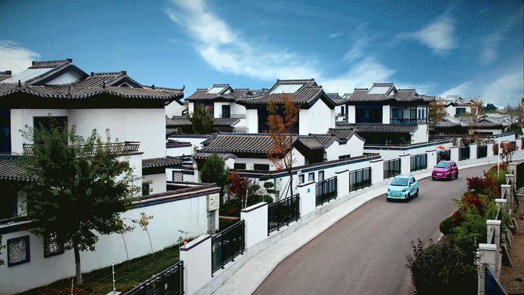 1680230722930174.jpg 9.jpg